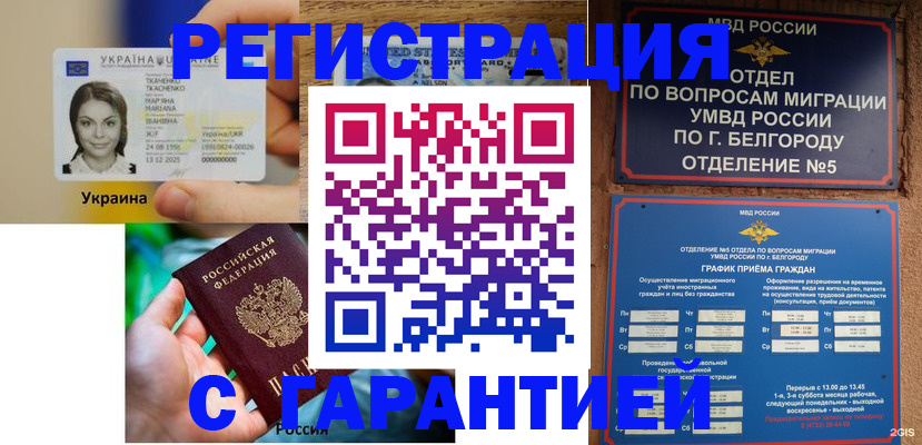 прописка иностранных граждан в Мончегорске